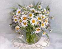 Без бренда «2KMA-0021» в Томске