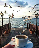 Без бренда «2KMB-1952» в Томске