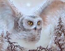 Без бренда «2KMB-3848» в Томске