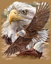 Без бренда «2KMB-4315» в Томске