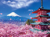 Без бренда «2KSB-7277» в Томске