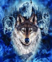 Без бренда «2KXSB-0687» в Томске