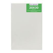 Без бренда «Коробка 80 шт.: Холст Две картинки на подрамнике 20X30» в Томске