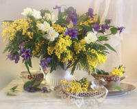 Без бренда «Натюрморт из мимоз и колокольчиков (20шт)» в Томске