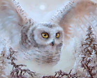 Без бренда «Полярная сова над лесом (20шт)» в Томске