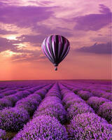 Без бренда «Фиолетовый воздушный шар над фиолетовым лавандовым полем (20шт)» в Томске