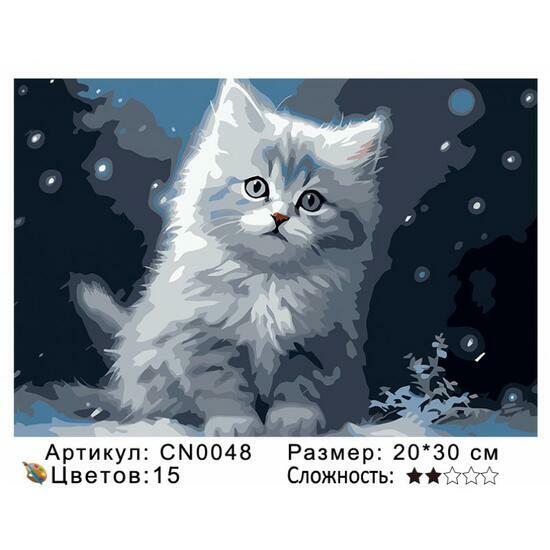 Картина по номерам 20x30 CN0048