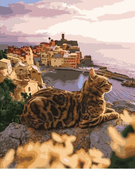 Картина по номерам 40x50 Красивый котик на фоне моря