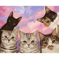 Без бренда «Такие разные котики» в Томске в интернет-магазине  Без бренда «Такие разные котики» в Томске