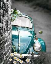 Фольксваген жук среди цветов