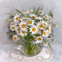 Без бренда «Букет свежих ромашек» в Томске