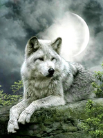 Без бренда «Коробка 25 шт. картин по номерам BOX25-GX21058» в Томске в интернет-магазине Без бренда «Коробка 25 шт. картин по номерам BOX25-GX21058» в Томске