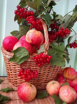 Без бренда «Коробка 25 шт. картин по номерам BOX25-GX5174» в Томске