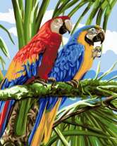 Пара ярких ара на зелёной ветке