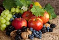 Без бренда «Фрукты, ягоды и орехи» в Томске