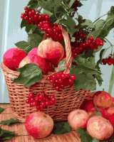Без бренда «Плетёная корзина с калиной и яблоками» в Томске