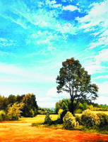 Без бренда «Осенний пейзаж с голубым небом» в Томске в интернет-магазине  Без бренда «Осенний пейзаж с голубым небом» в Томске