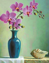 Большая раковина и орхидея в вазе