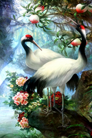 Без бренда «Коробка 25 шт. картин по номерам BOX25-GX29399» в Томске