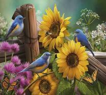 Цветущие подсолнухи и синие птички