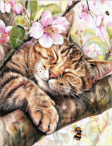 Без бренда «Волосатый котик спит на ветви яблони» в Томске