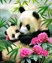 Малыш панда с мамой и цветочки