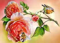 Птичка и пчела на розе